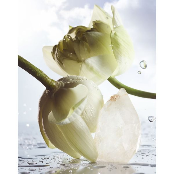 BVLGARI Man Rain Essence - Eau de Parfum - Görsel 5