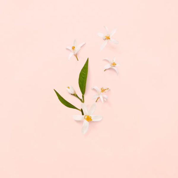 Gucci Bloom - Eau de Toilette - Görsel 4