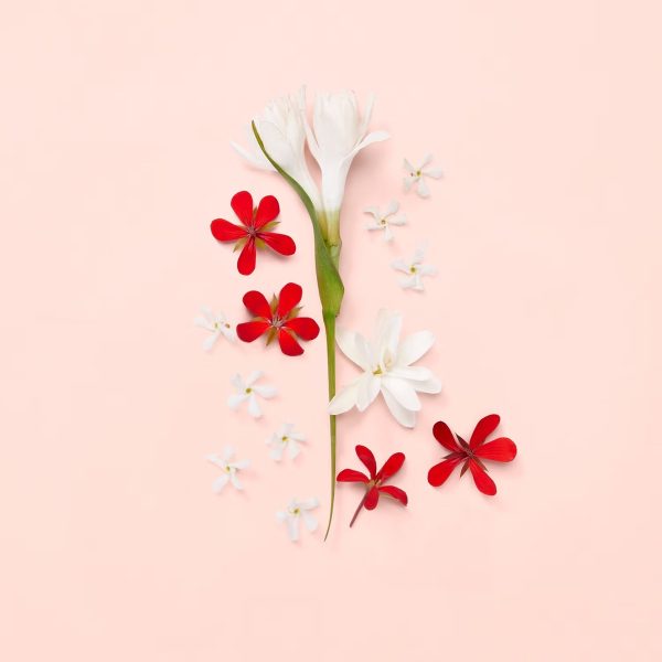 Gucci Bloom - Eau de Toilette - Görsel 5
