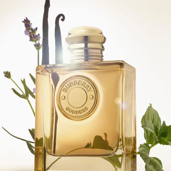 BURBERRY Goddess - Eau de Parfum Intense - Görsel 3