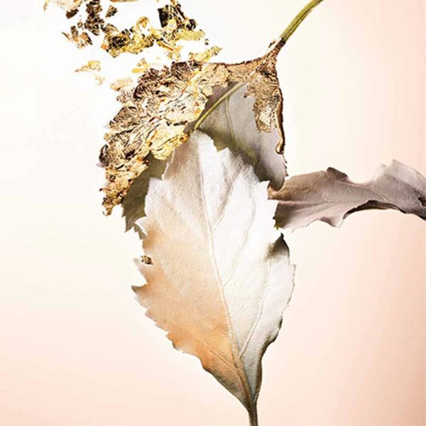 BVLGARI Splendida Patchouli Tentation - Eau de Parfum - Görsel 3