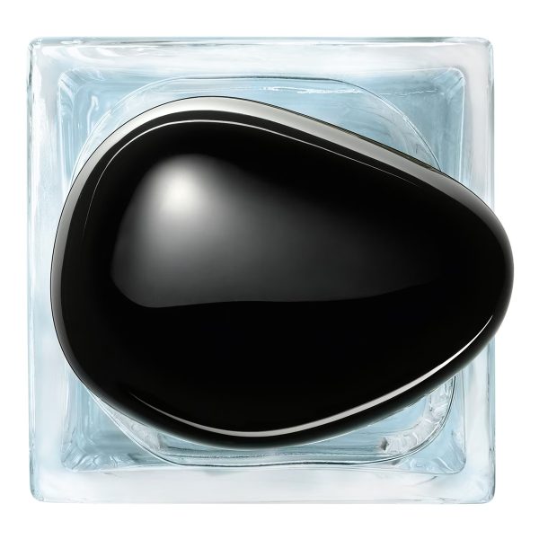 Armani Privé Vetiver d'Hiver - Eau de Toilette - Görsel 5